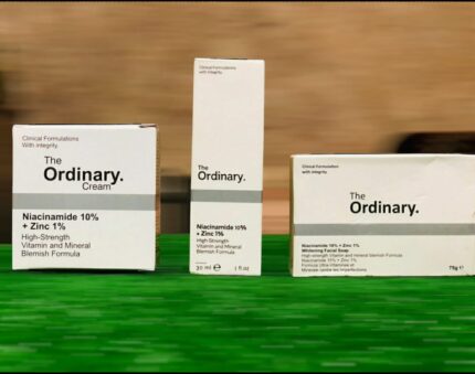 WhatsApp Image 2024 12 12 at 4.17.50 PM