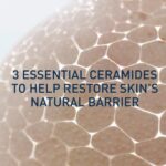 WhatsApp Image 2024 12 12 at 6.11.19 PM