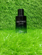 WhatsApp Image 2024 12 20 at 7.25.30 PM