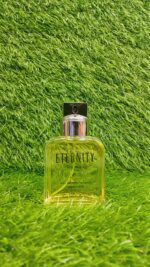 WhatsApp Image 2024 12 24 at 8.33.58 PM