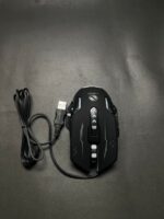 WhatsApp Image 2024 12 31 at 3.48.41 PM