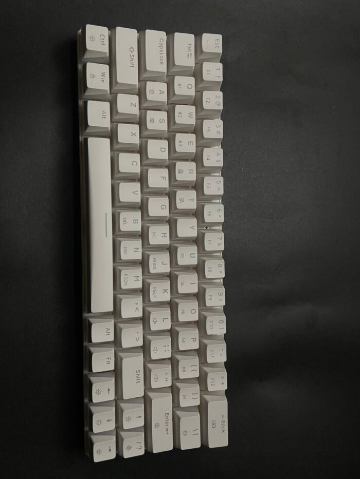 WhatsApp Image 2025 01 04 at 2.50.38 PM 1