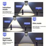 WhatsApp Image 2025 01 09 at 11.00.29 AM