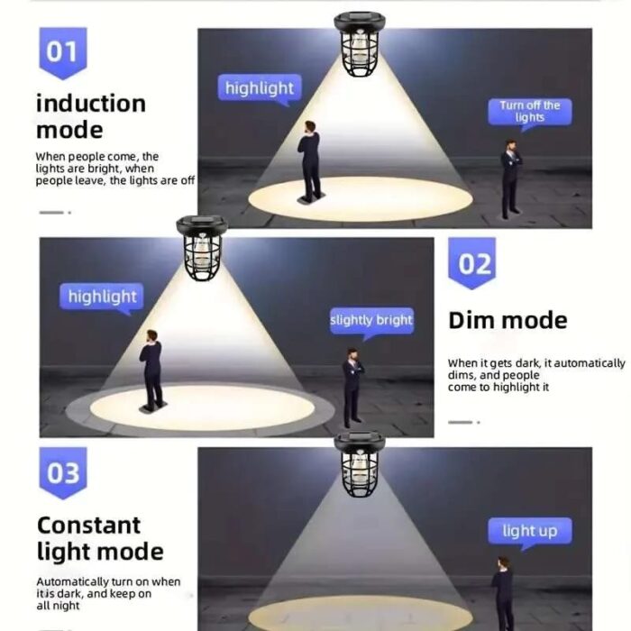 WhatsApp Image 2025 01 09 at 11.00.29 AM