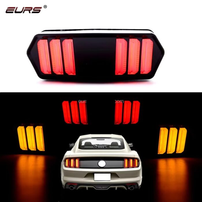 WhatsApp Image 2025 01 12 at 12.38.10 PM