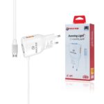 WhatsApp Image 2025 01 22 at 12.31.42 PM