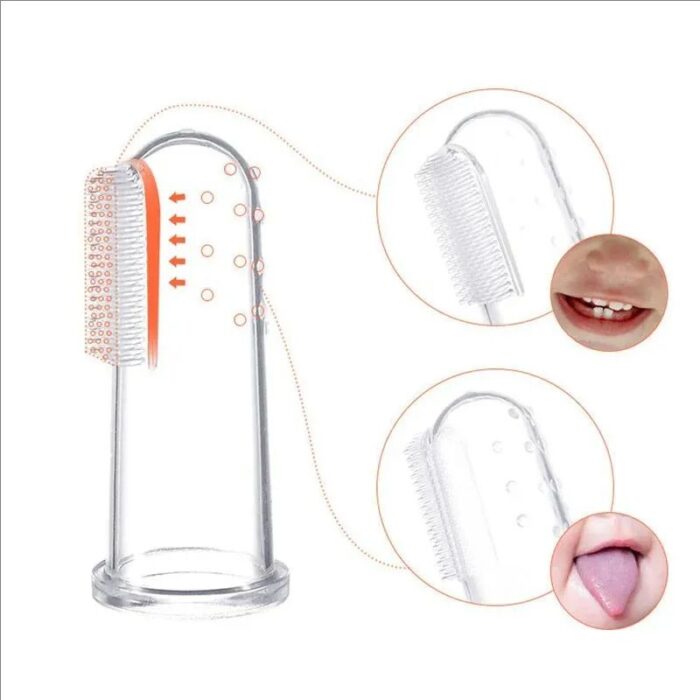 WhatsApp Image 2025 01 25 at 4.05.24 PM