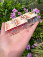 WhatsApp Image 2025 02 10 at 6.00.35 AM 1