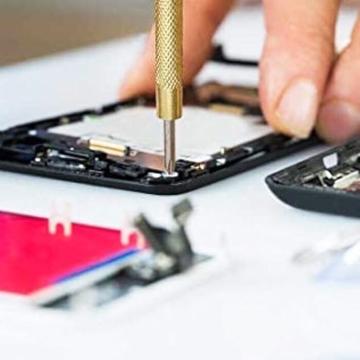 WhatsApp Image 2025 02 14 at 3.28.17 PM 1