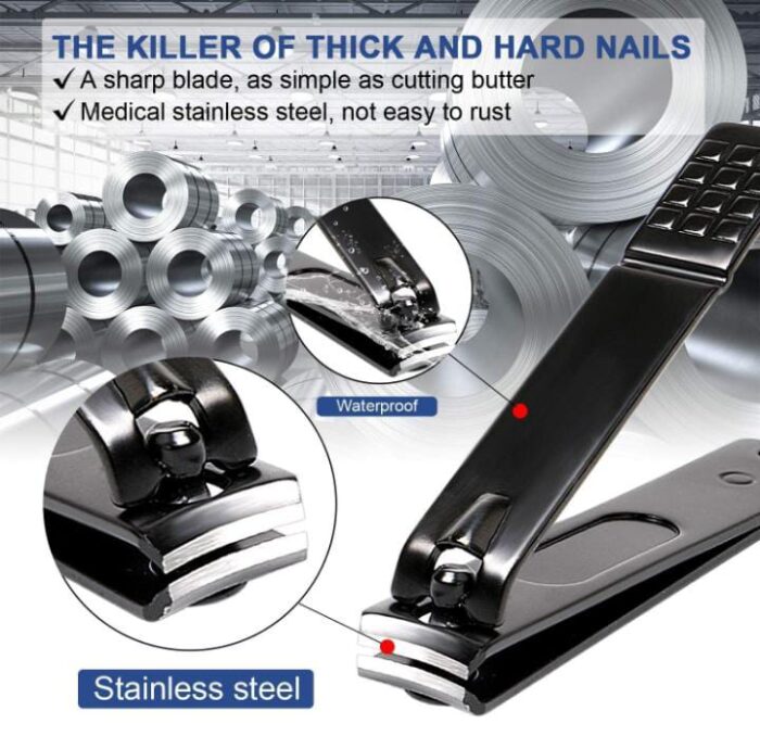 WhatsApp Image 2025 02 14 at 7.31.03 PM