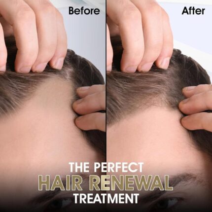 WhatsApp Image 2025 02 16 at 2.52.34 PM 1