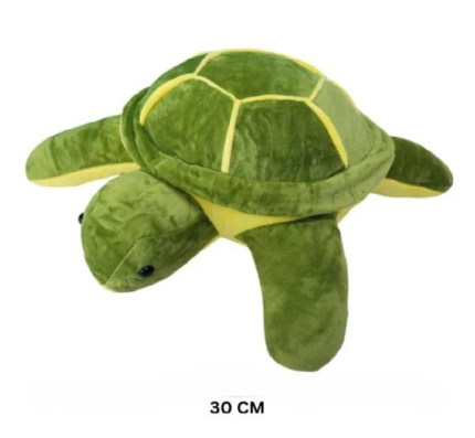 md33oi turtle30 cleanup 1
