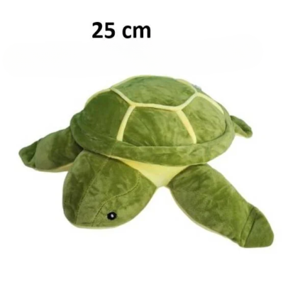 qx4jm turtle25 cleanup